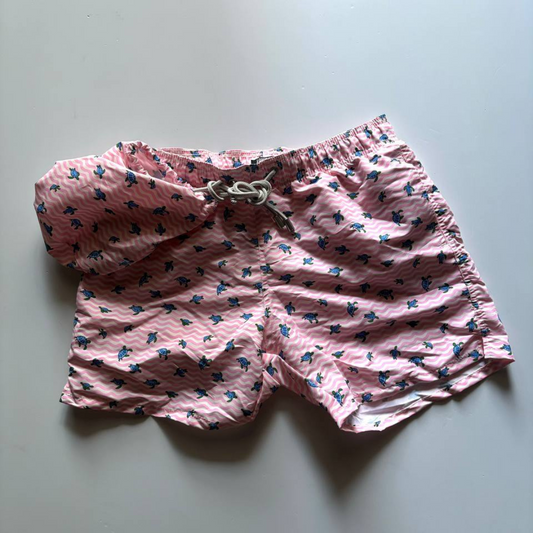 COSTUME TARTARUGA ROSA