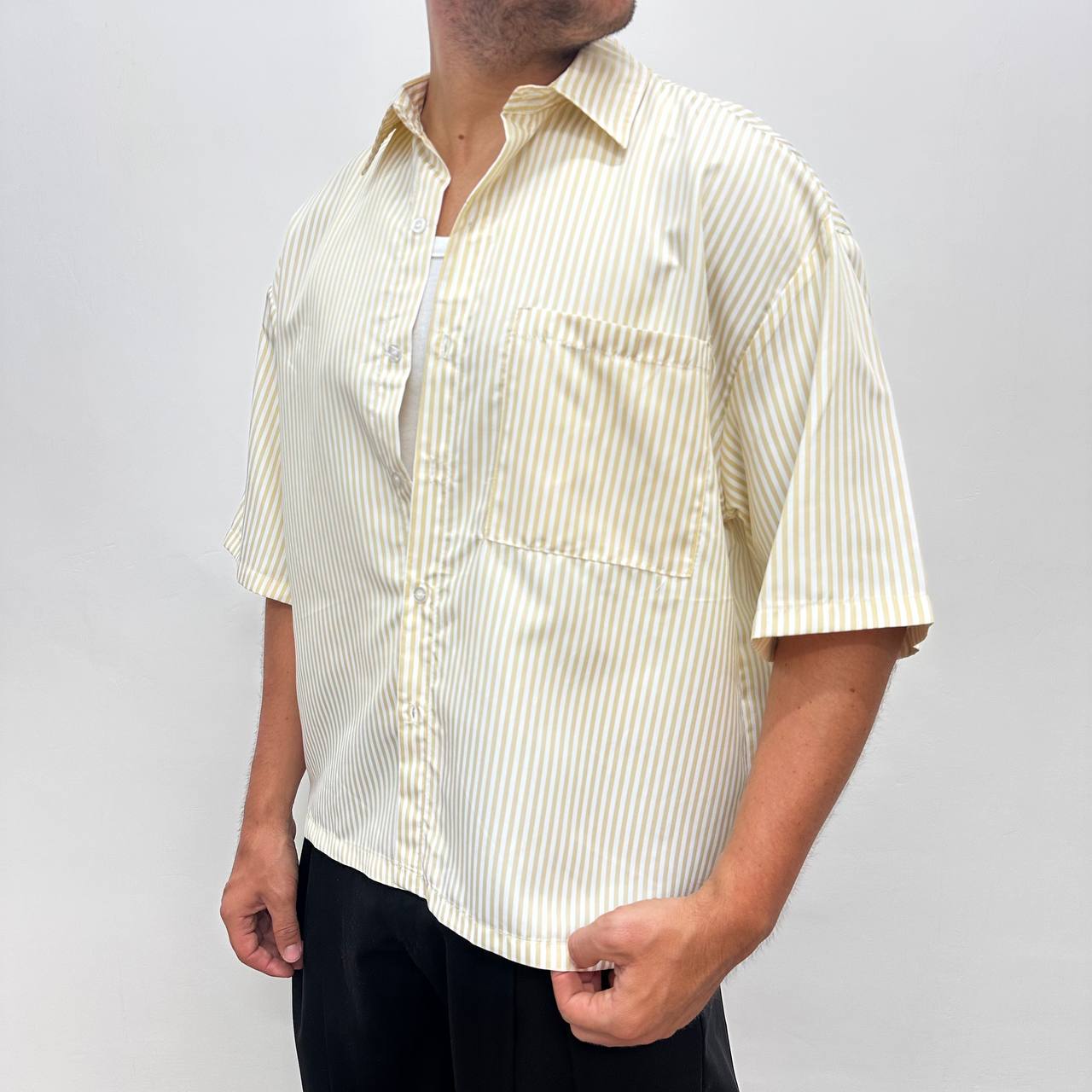 Camicia riga beige